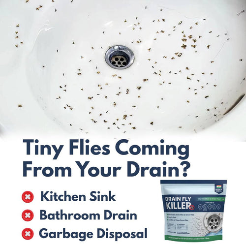 Drain Fly Killer Powder