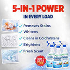 OxiForce Advanced Stain Remover | Color-Safe | BUY 1 GET 1 FREE!